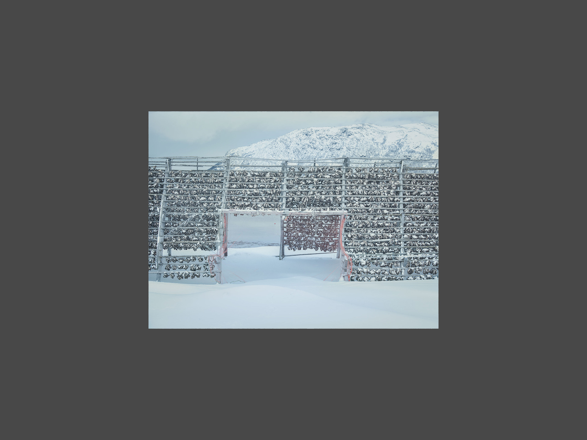 Nordkapp