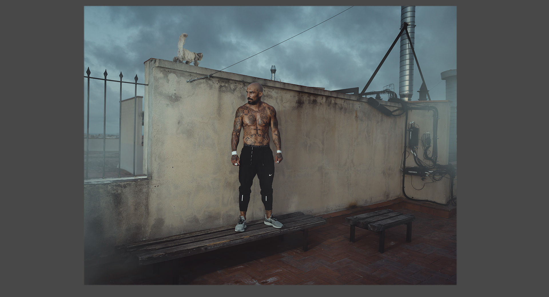 ©ankeluckmann2693 1038grey