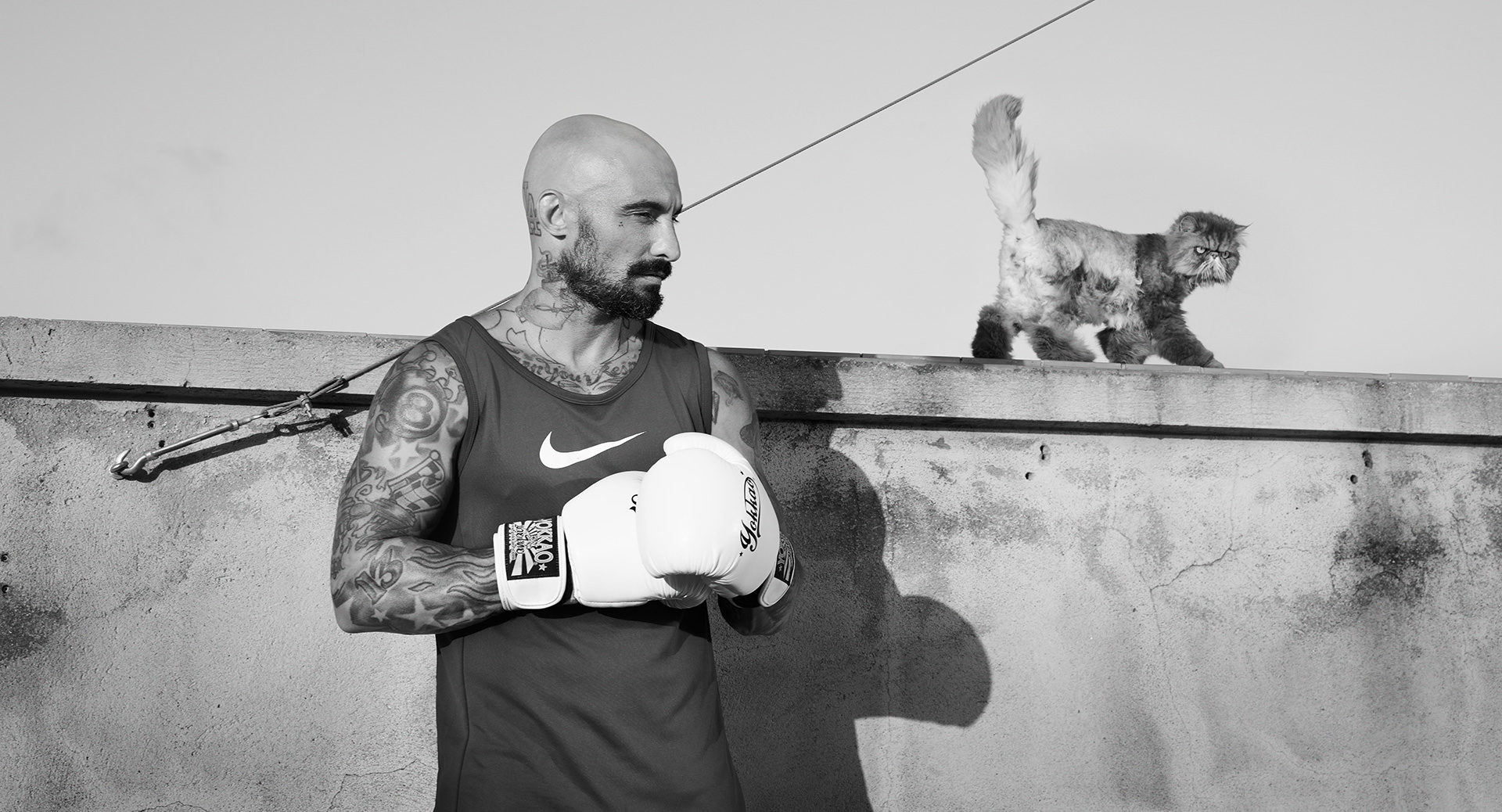 ©ankeluckmann2704 1038