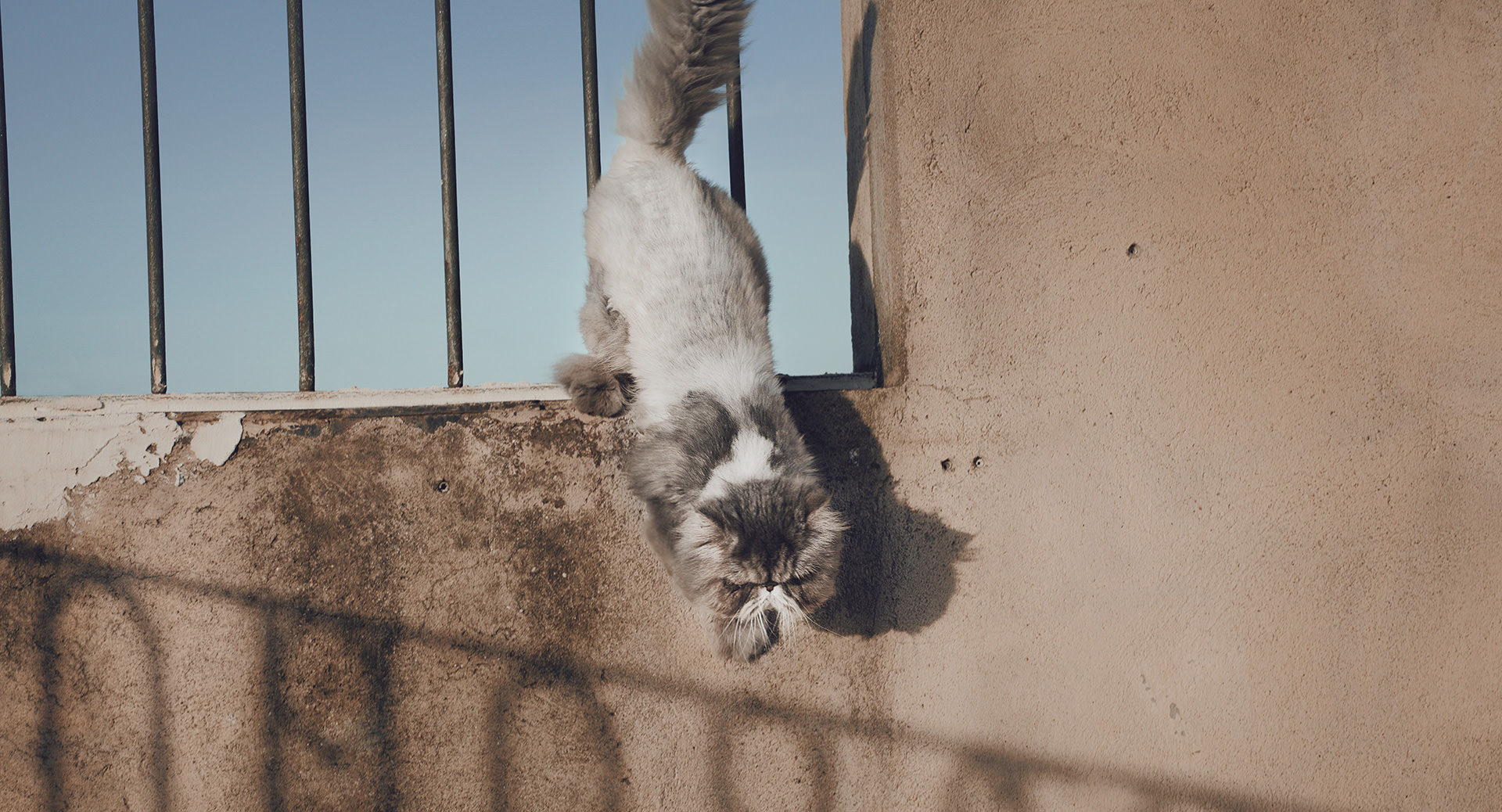 ©ankeluckmann2707 1038