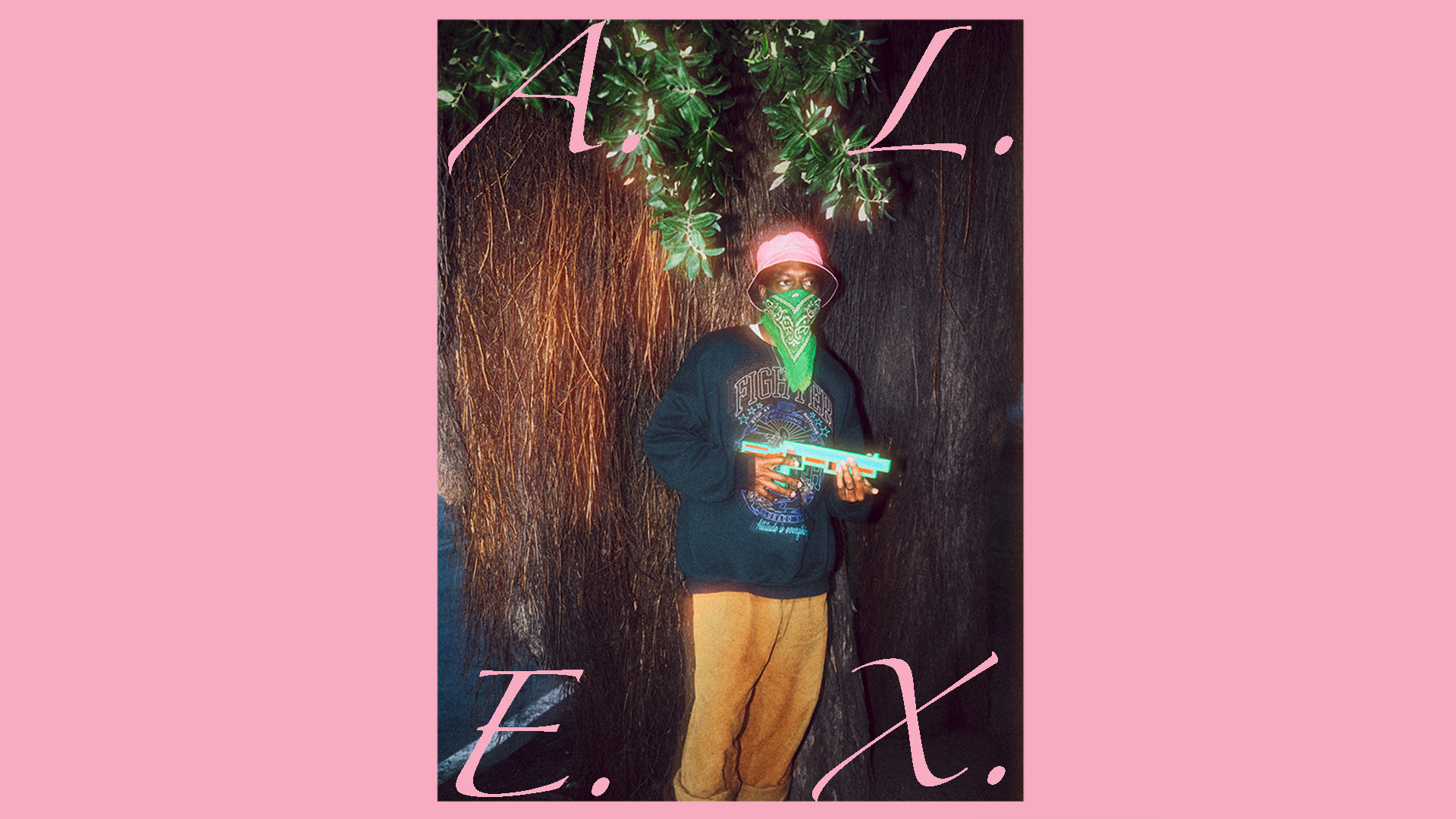 A.L.E.X.