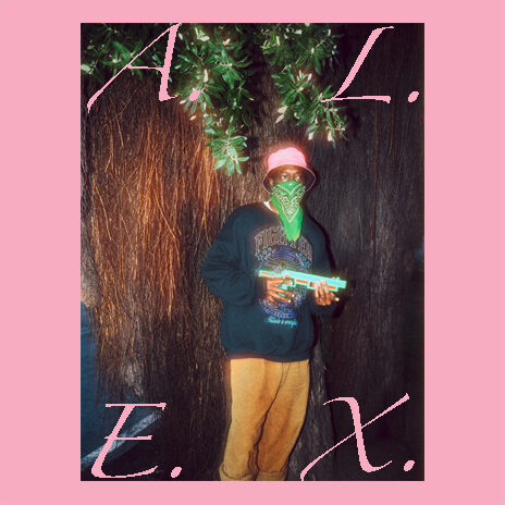 A.L.E.X.