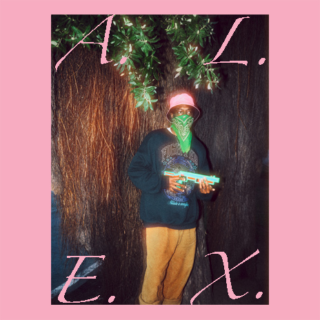 A.L.E.X.