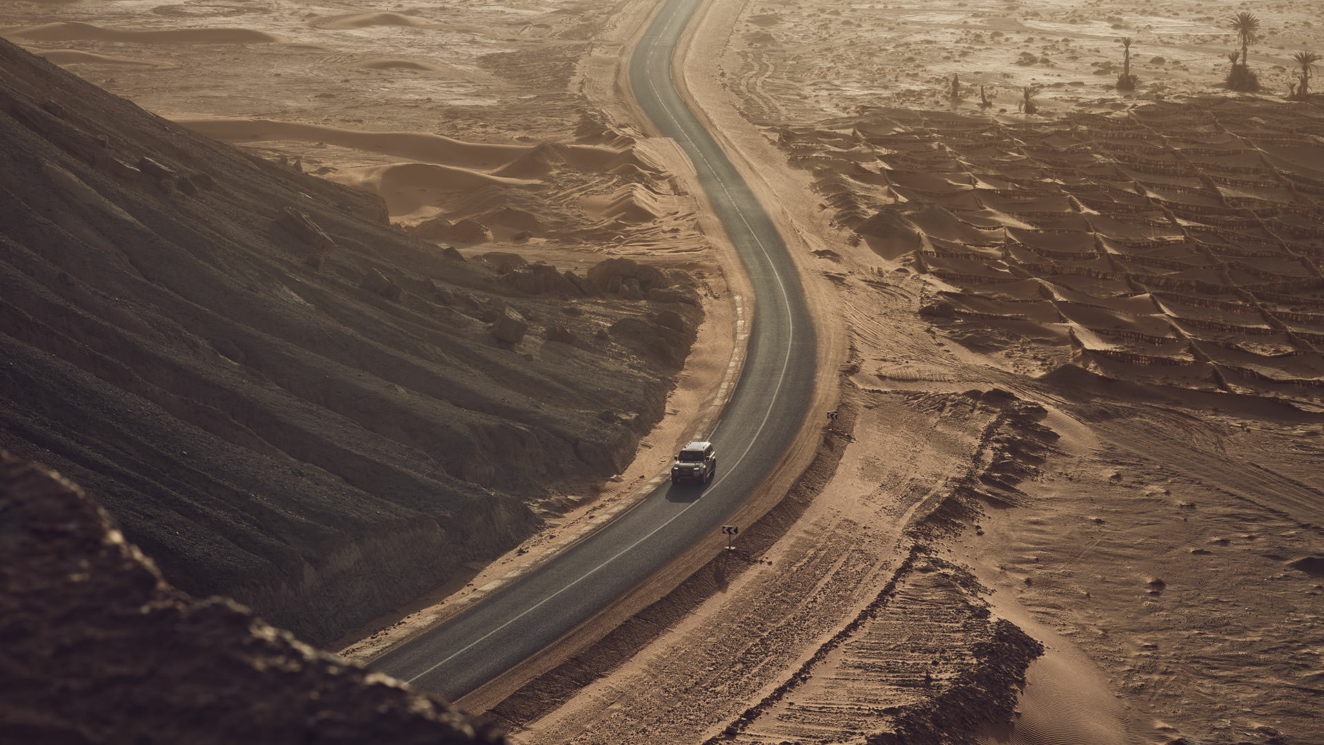 Toyota Land Cruiser 250; Prado